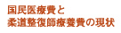 国民医療費と柔道整復師療養費の現状