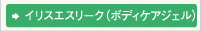 フェライト・イオンセラブ