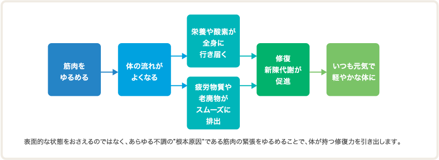 表面的な状態をおさえるのではなく、あらゆる不調の”根本原因”である筋肉の緊張をゆるめることで、体が持つ修復力を引き出します。