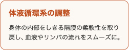 体液循環系の調整