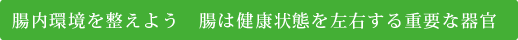 腸内環境を整えよう　腸は健康状態を左右する重要な器官