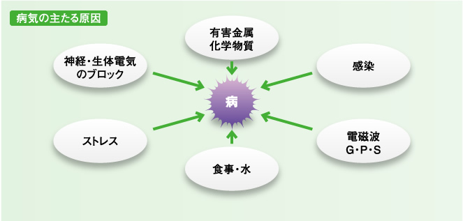 病気の主たる原因