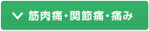 筋肉痛・関節痛・痛み