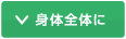 身体全体に