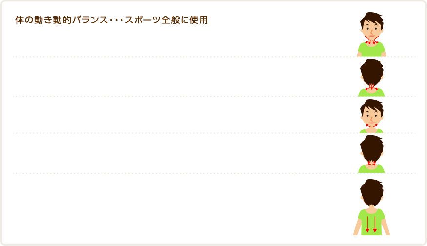 体の動き動的バランス・・・スポーツ全般に使用