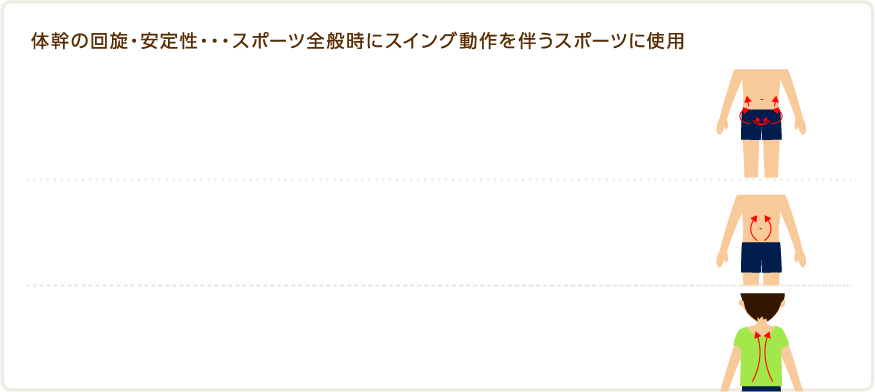 体幹の回旋・安定性・・・スポーツ全般時にスイング動作を伴うスポーツに使用