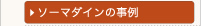 ソーマダインの事例